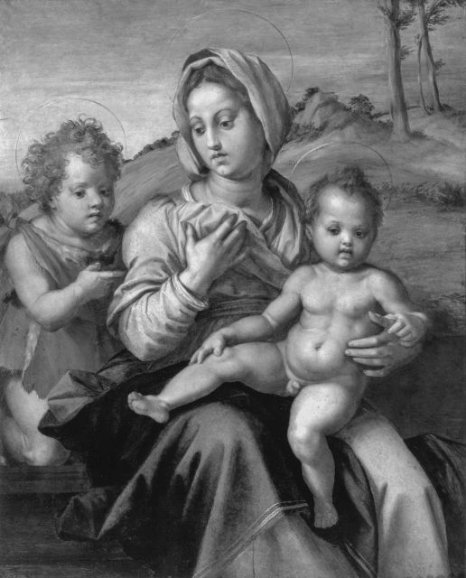 Hollow, Matthew — Andrea d'Agnolo - sec. XVI - Madonna con Bambino e san Giovannino — insieme